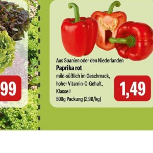 Paprika