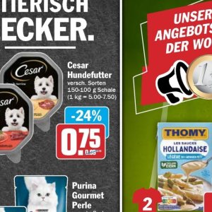 Hundefutter