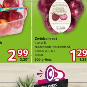 Zwiebeln