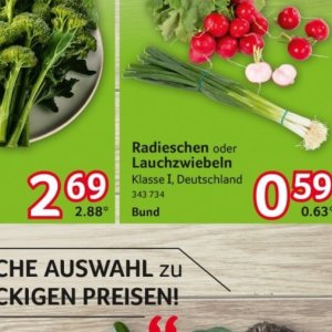 Radieschen