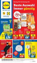 Prospekt Lidl