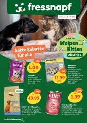 Prospekte Fressnapf Reiskirchen