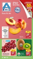 Aldi Nord