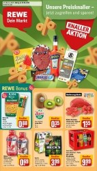 Prospekte Rewe Göttingen