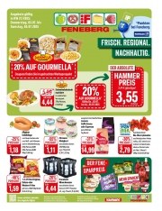 Prospekte Feneberg Laupheim