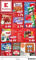 Prospekte Kaufland Mainz