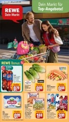 Prospekte Rewe Freiburg im Breisgau