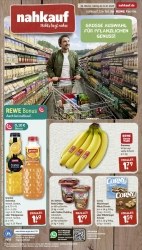 Prospekte Rewe Celle