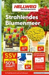 Prospekt Hellweg