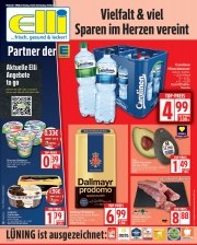Elli Markt
