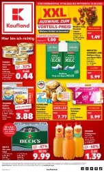 Prospekt Kaufland