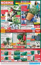 Prospekte Norma Cottbus
