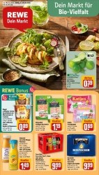 Prospekte Rewe Stralsund