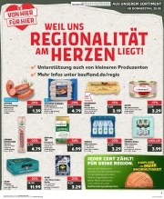 Prospekte Kaufland Celle