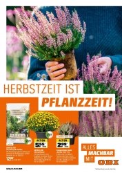 Prospekte OBI Krefeld