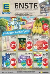 Prospekte E-Center Menden (Sauerland)