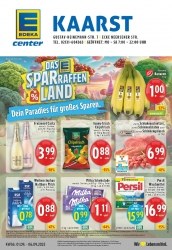 Prospekt E-Center