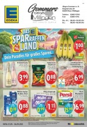 Prospekt Edeka
