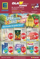 Prospekt E-Center