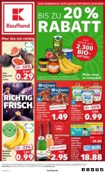 Prospekt Kaufland