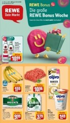 Prospekte Rewe Oldenburg