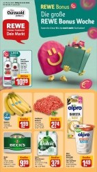 Prospekte Rewe Fürth