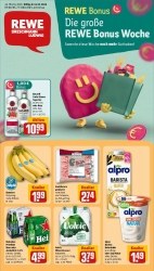 Prospekt Rewe