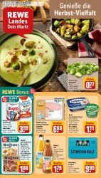 Prospekte Rewe Rain (Lech)