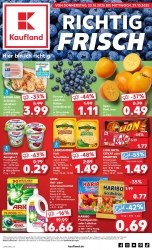 Prospekte Kaufland Magdeburg