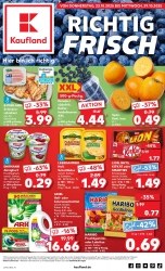 Prospekt Kaufland