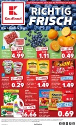 Prospekt Kaufland