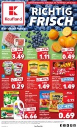Prospekt Kaufland