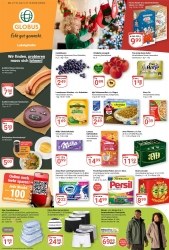 Prospekte Globus Ludwigshafen am Rhein