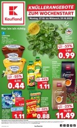 Prospekte Kaufland München