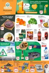 Prospekte Globus Braunschweig