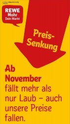 Prospekte Rewe Homberg (Efze)