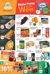 Prospekte Globus Losheim am See