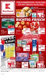 Prospekte Kaufland Potsdam