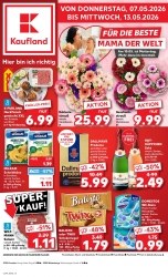 Prospekte Kaufland Wittenberge