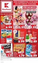 Prospekte Kaufland Riesa