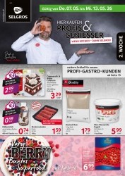 Prospekte Selgros Bremen