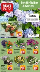Prospekte Rewe Waldbröl