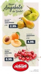 Prospekte Rewe Bergheim