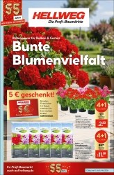 Prospekte Hellweg Schmalkalden (Kurort)