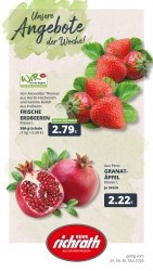 Prospekte Rewe Bergheim